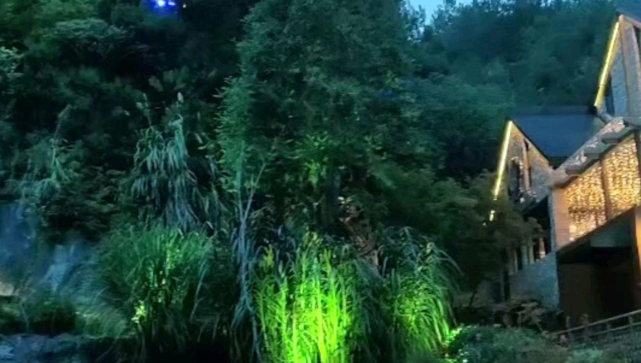 侨刊乡讯：世纪“集体家书”，百年思乡之情